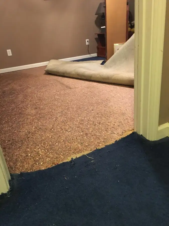 Carpet pad removal revealing water damage during Drying & Dehumidification in Bullard